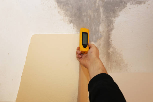 Best Biohazard Mold Removal  in Beaver, WV