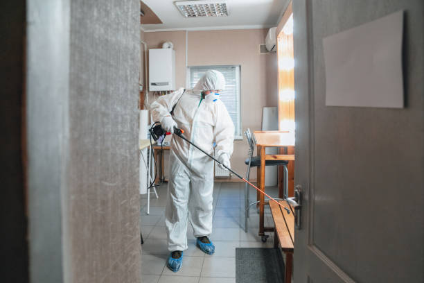 Best Mold Documentation for Insurance Claims  in Beaver, WV