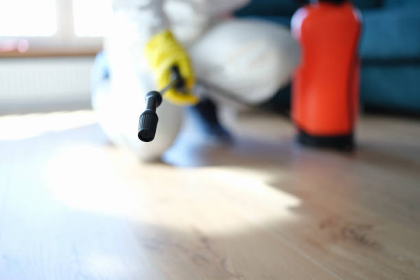 Best Attic Mold Removal  in Beaver, WV