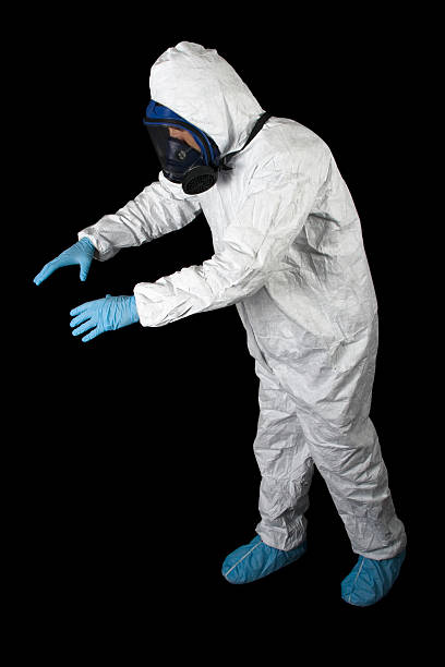 Trusted Beaver, WV Mold Removal Experts