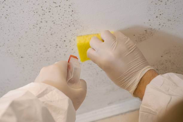 Best Post-Remediation Verification Testing  in Beaver, WV