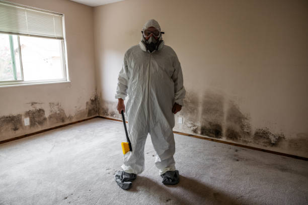 Best Attic Mold Removal  in Beaver, WV